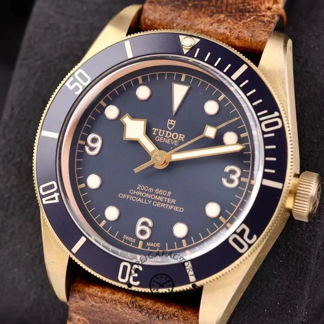 Replica Tudor Black M79250BB-0001 Front picture of the watch -3